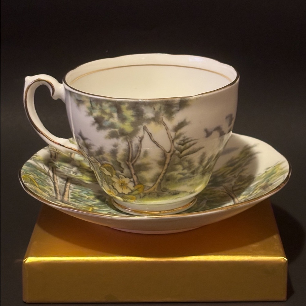 Salisbury Primrose Glen Fine Bone China Cup and Saucer Set.